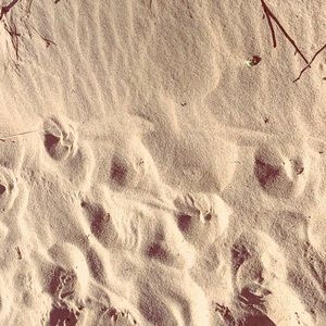 Meet your Posher, Meredith